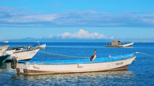 Boats moored in sea against sky