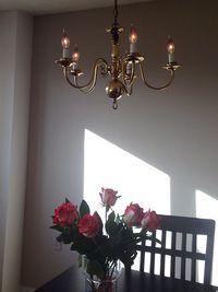 Close-up of flower hanging at home