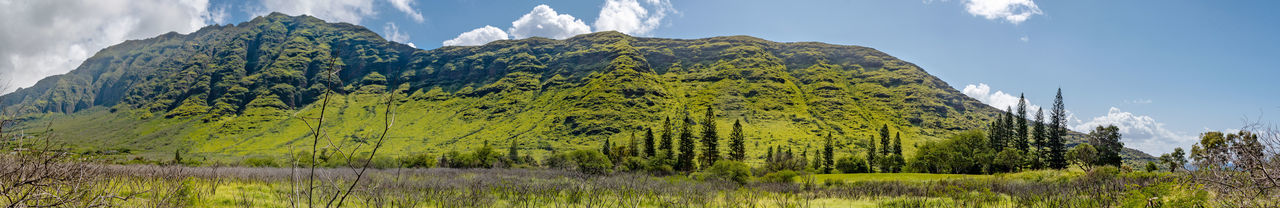 Panoramic view of land and trees against sky