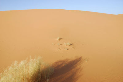 Scenic view of desert against clear sky