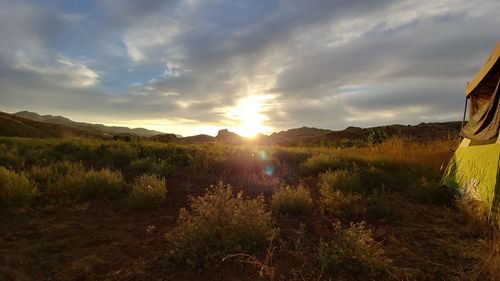 Scenic view of field against sky during sunset