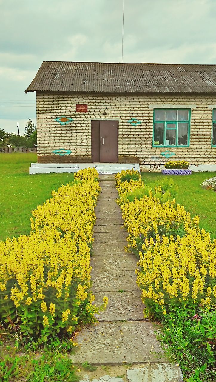 building exterior, flower, built structure, sky, architecture, plant, the way forward, grass, yellow, house, growth, cloud - sky, freshness, nature, cloud, field, day, outdoors, no people, beauty in nature