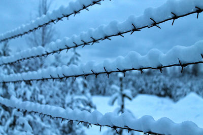 Snow-covered barbed wire on the approach to an abandoned airfield