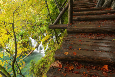 Wooden bridge in forest