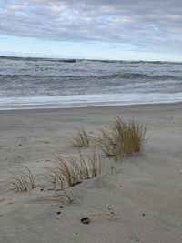 Scenic view of beach against sky