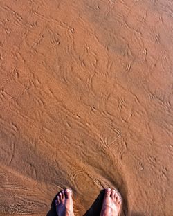 Low section of person standing on sand