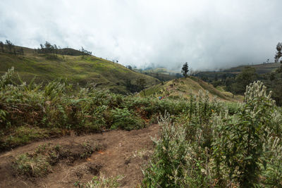 Scenic view of land against sky