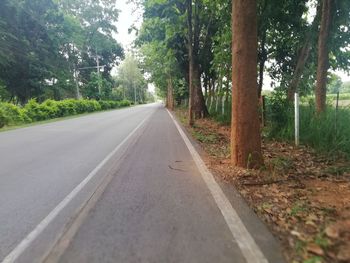 Empty road along trees in forest