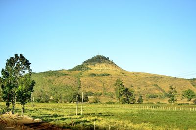 Scenic view of landscape against clear sky