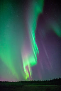 Low angle view of man standing against sky at night