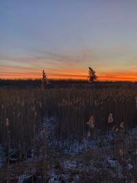 Scenic view of field against sky during sunset