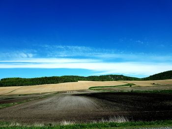 Scenic view of agricultural field against blue sky