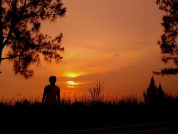 Silhouette of trees at sunset