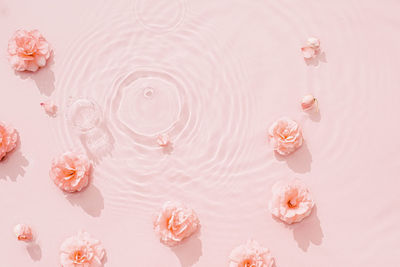 Close-up of wedding rings on white background