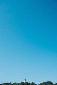 Low angle view of trees against clear blue sky
