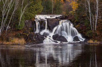 View of waterfall in forest