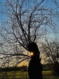 Silhouette person standing by bare tree against sky during sunset