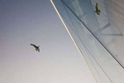 Low angle view of airplane flying against clear sky