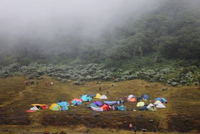 High angle view of people camping on land in forest
