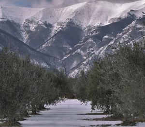 Scenic view of snow covered mountains