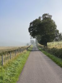 Road amidst trees on field against clear sky