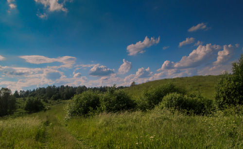 Scenic view of field against sky