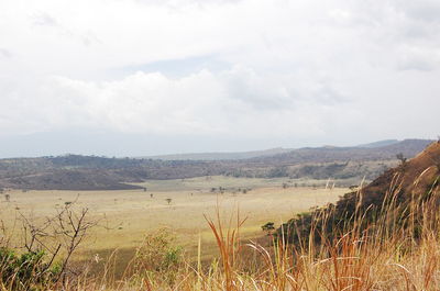 Scenic view of field against sky