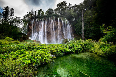 Scenic view of waterfall in forest plitvicka jezera national park croatia