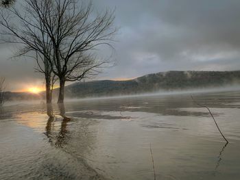 Scenic view of lake against sky during winter