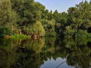 Scenic view of lake in forest against sky