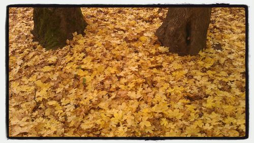 Full frame shot of white background