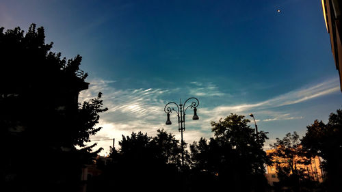 Low angle view of silhouette trees against sky