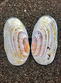 High angle view of bread on sand
