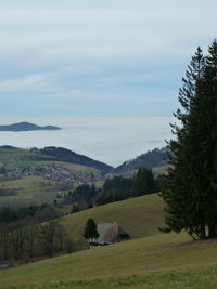 Scenic view of landscape against sky