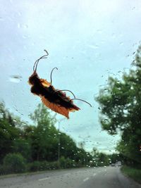 View of road against sky