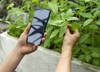 Cropped hand of woman using mobile phone