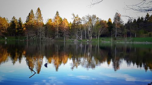 Reflection of trees in lake against sky