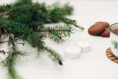 Close-up of food on table