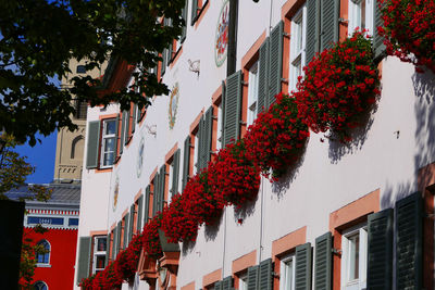 Low angle view of buildings in city against sky