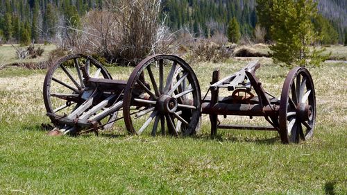 Bicycles on field