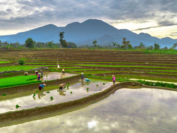environment