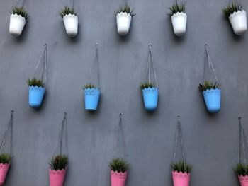 Potted plants hanging against wall