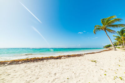 Scenic view of beach against blue sky