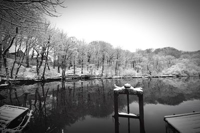 Reflection of trees in lake