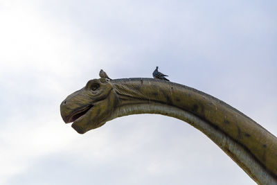 Low angle view of an animal sculpture