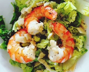 Close-up of salad in plate