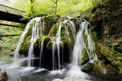 Scenic view of waterfall in forest