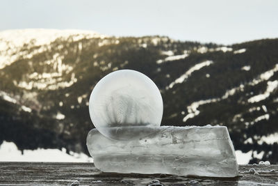 Close-up of ice cream on land