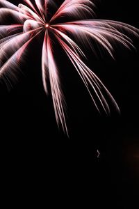 Low angle view of fireworks against black background