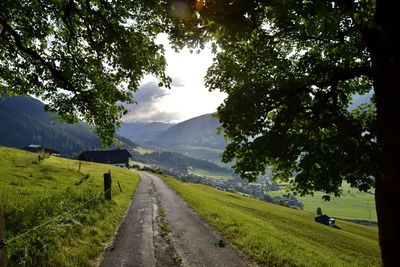 Empty road amidst trees on field against sky